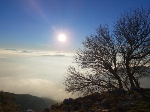 Posada Santuari Mare de D�u Del Mont Restaurant-hostatger�a