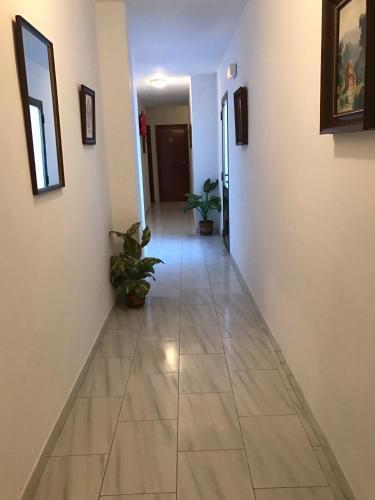 Albergue Hostal Restaurante Rufino