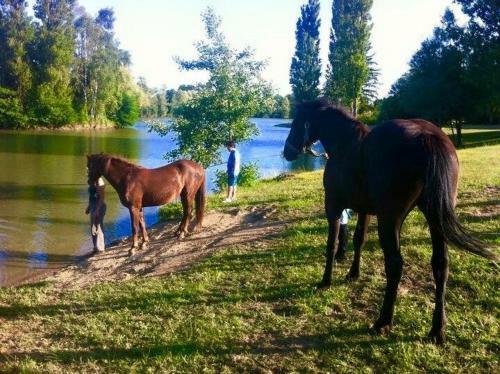 Bed & Breakfast Le Domaine de Charlyne