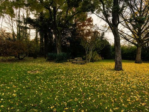 Hotel H�tel Le Domaine Du Moulin de Monjous