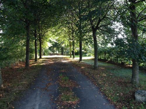 Bed & Breakfast Ch�teau de La Chasse-guerre