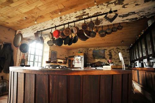Bed & Breakfast Ch�teau de La Chasse-guerre