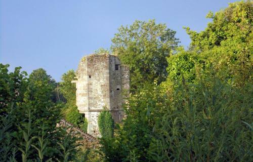 Bed & Breakfast Ch�teau de La Chasse-guerre