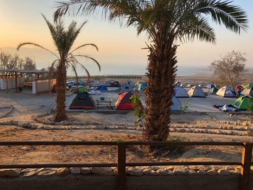 Albergue Ein Gedi Camp Lodge
