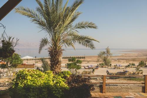Albergue Ein Gedi Camp Lodge