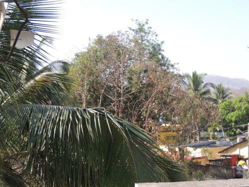 Apartamento Dandeli Home Stay