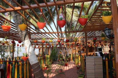 Hotel Sea Rock Villa