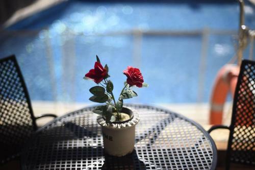 Apartamento City Resort Palmore