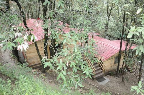 Hotel Aamod At Shoghi