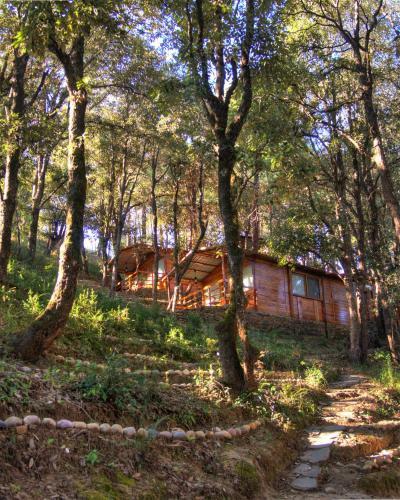 Hotel Aamod At Shoghi