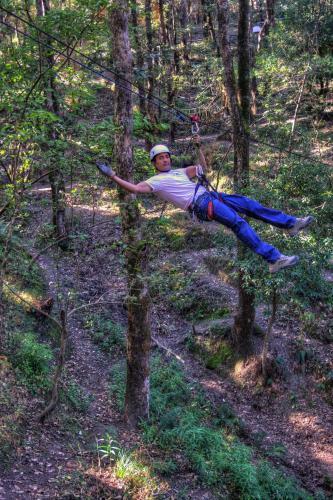 Hotel Aamod At Shoghi