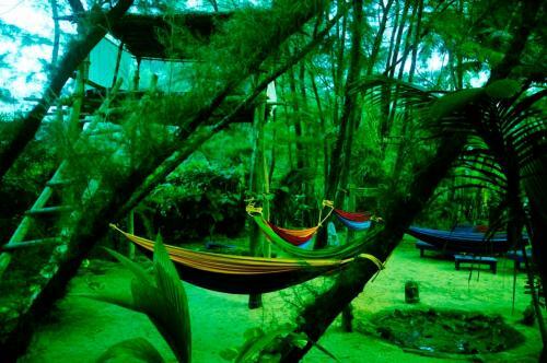Hotel Nirvana Nature