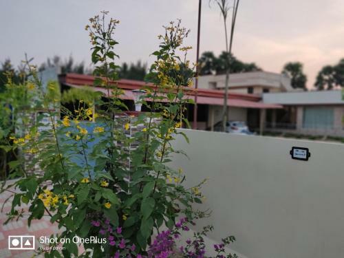 Hotel Annapurna Venue