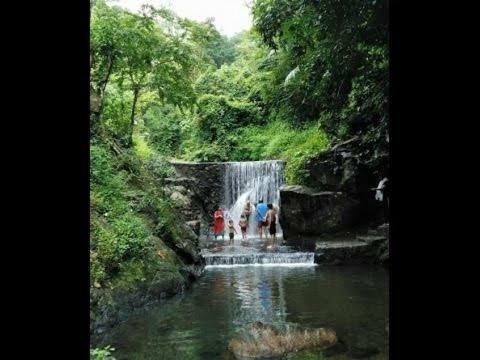 Hotel Orchard Valley Resort