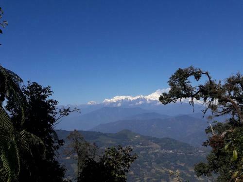 Vamoosetrail Rishyap
