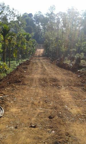 The Misty Guest House In Coorg