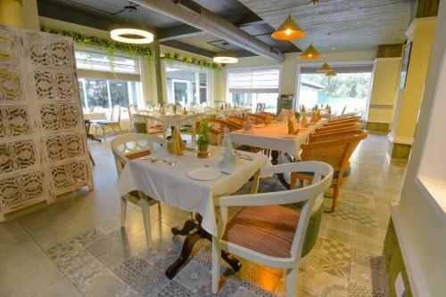 Hotel Infinitea Tea Garden Resort