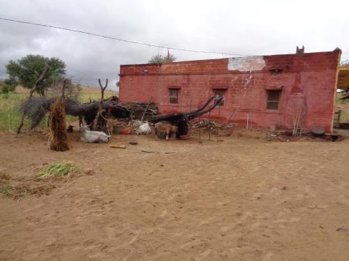 Gangaram Ki Dhani Homestay