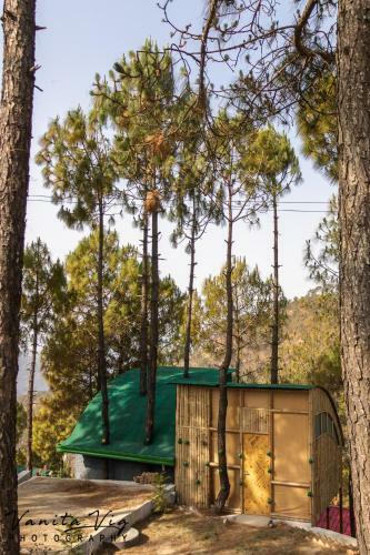Hotel Ivy Green Nature Resort, Lansdowne