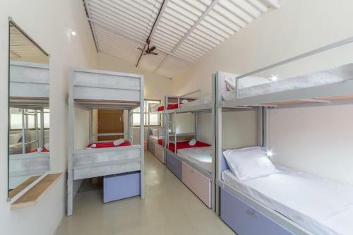 Albergue Zostel Chikmagalur