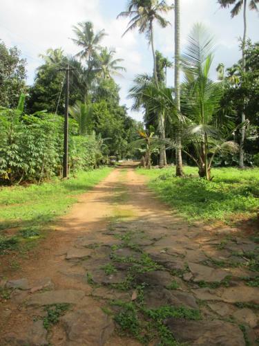 Agroturismo Vayal Farm Stay