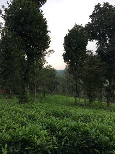 Agroturismo Harmony Farm Wayanad