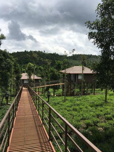 Agroturismo Harmony Farm Wayanad