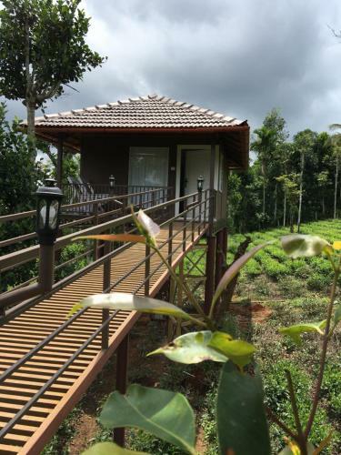 Agroturismo Harmony Farm Wayanad