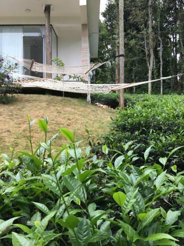 Agroturismo Harmony Farm Wayanad