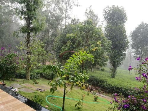 Agroturismo Harmony Farm Wayanad