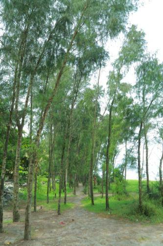 Kadaltheeram Home Stay Azheekal