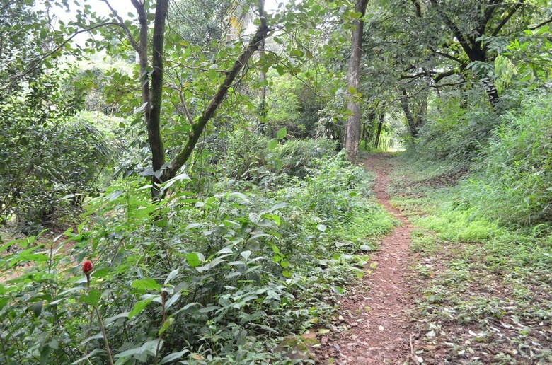 Hostal Mangaal Farmstay Goa