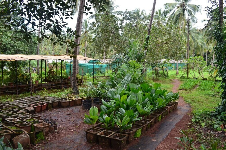 Hostal Mangaal Farmstay Goa