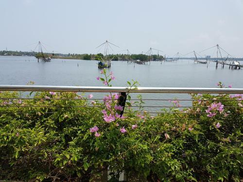 Luxury Water Frontage Apartment