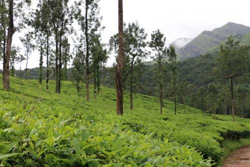 Bed & Breakfast Green Garden Deluxe Room