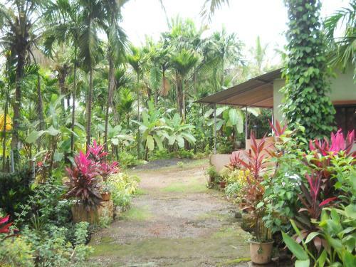 Agroturismo Kavijay Garden