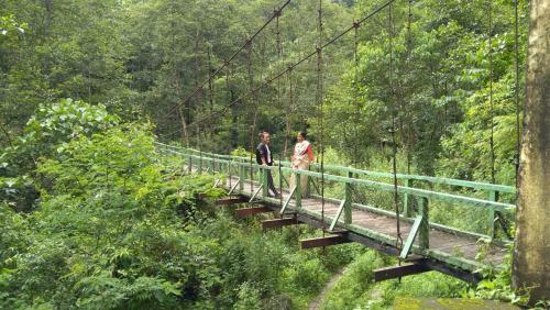 Vamoosetrail Rolep