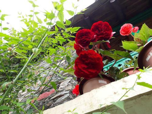 The Oak Trails Eco Lodge