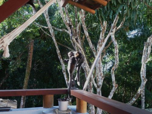 Apartamento Tropical Village Flat