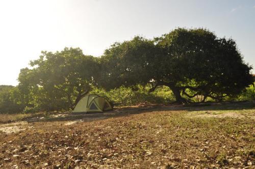 Hostal Para�so Do Caju House Hostel