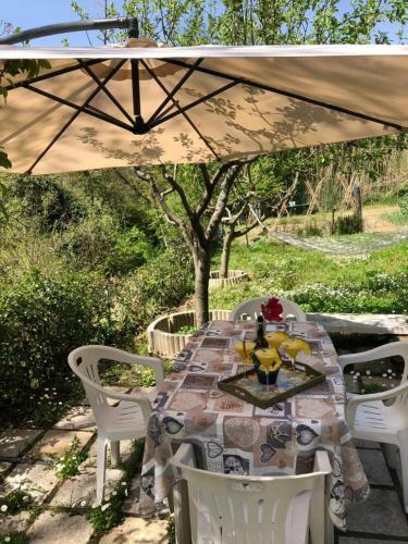 Bed & Breakfast La Spasella