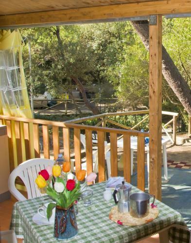 Camping Continental