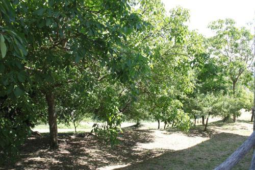 Agroturismo Il Vallone Di Melezzole