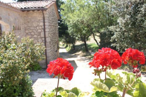 Agroturismo Il Vallone Di Melezzole