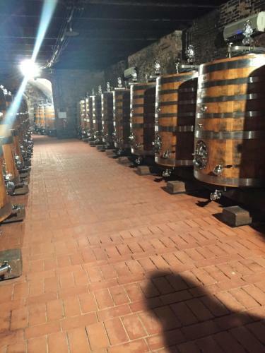 Apartamento La Limonaia - Villa Manciano