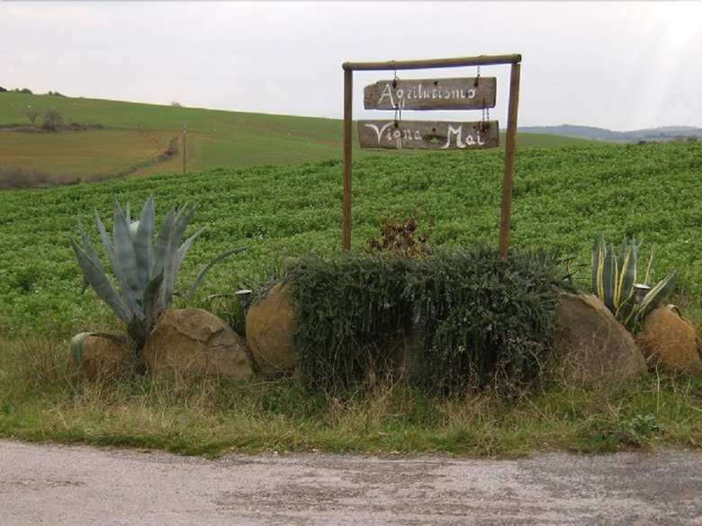 Agroturismo Agriturismo Vigna Mai