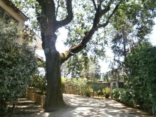 Bed & Breakfast Casale Villa Irina