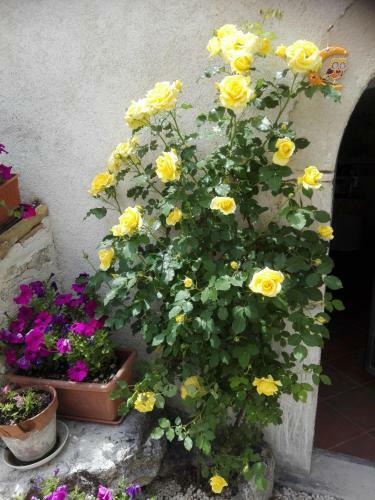 Hostal Residenza Storica Le Civette