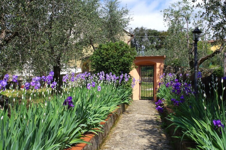 Agroturismo Villa Pacinotti