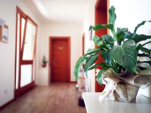 Agroturismo Agriturismo Casa Rossa